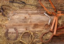 How to Select the Best Western Saddlery? western saddlery