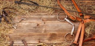 How to Select the Best Western Saddlery? western saddlery