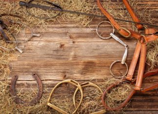 How to Select the Best Western Saddlery? western saddlery