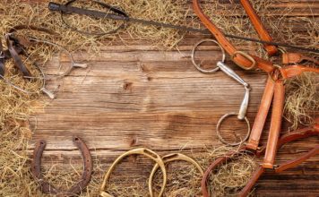 How to Select the Best Western Saddlery? western saddlery